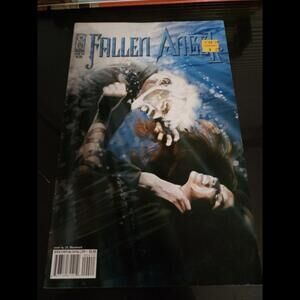 Fallen Angel # 4 Very Good condition IDW Peter David Angels Comic Book